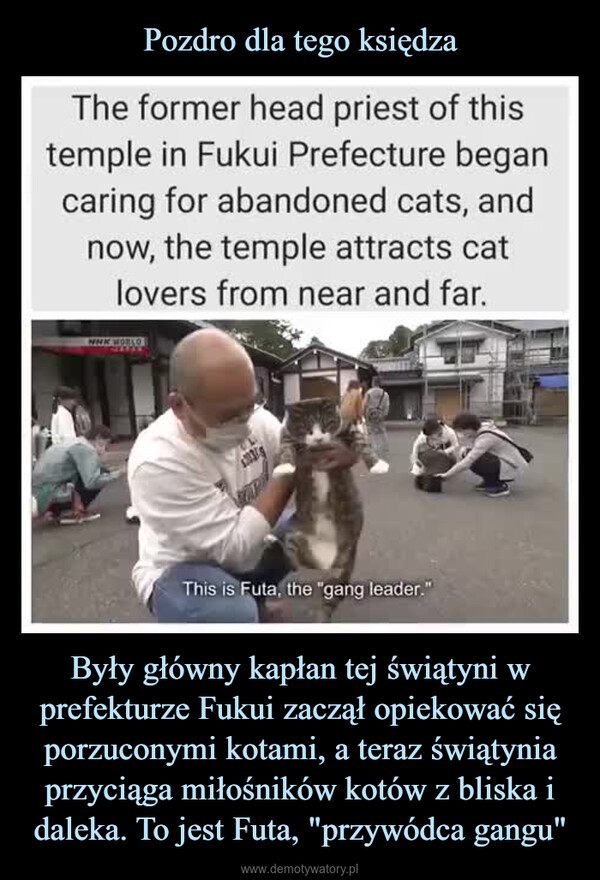 Były główny kapłan tej świątyni w prefekturze Fukui zaczął opiekować się porzuconymi kotami, a teraz świątynia przyciąga miłośników kotów z bliska i daleka. To jest Futa, "przywódca gangu" –  The former head priest of thistemple in Fukui Prefecture begancaring for abandoned cats, andnow, the temple attracts catlovers from near and far.WWW.WORLDThis is Futa, the "gang leader."