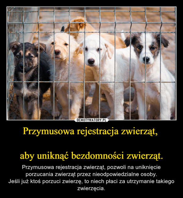 Przymusowa rejestracja zwierząt, 

aby uniknąć bezdomności zwierząt.