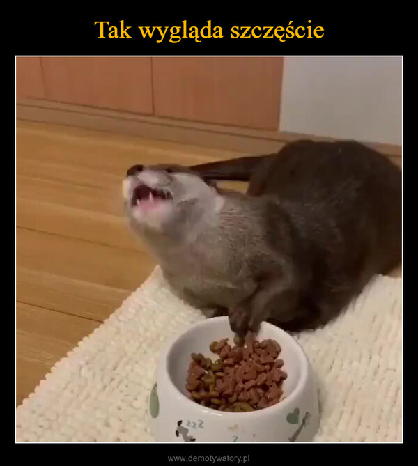  –  V222