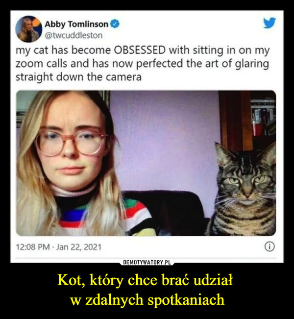 Kot, który chce brać udział w zdalnych spotkaniach –  Abby Tomlinson@twcuddlestonmy cat has become OBSESSED with sitting in on myzoom calls and has now perfected the art of glaringstraight down the camera12:08 PM - Jan 22, 2021
