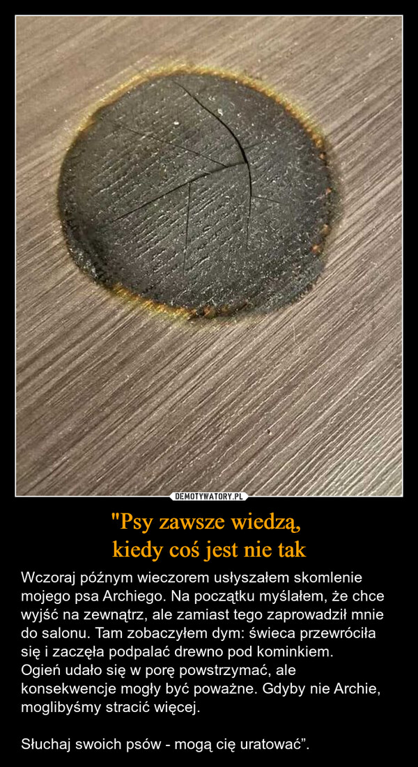 "Psy zawsze wiedzą, kiedy coś jest nie tak – Wczoraj późnym wieczorem usłyszałem skomlenie mojego psa Archiego. Na początku myślałem, że chce wyjść na zewnątrz, ale zamiast tego zaprowadził mnie do salonu. Tam zobaczyłem dym: świeca przewróciła się i zaczęła podpalać drewno pod kominkiem.Ogień udało się w porę powstrzymać, ale konsekwencje mogły być poważne. Gdyby nie Archie, moglibyśmy stracić więcej.Słuchaj swoich psów - mogą cię uratować”. 