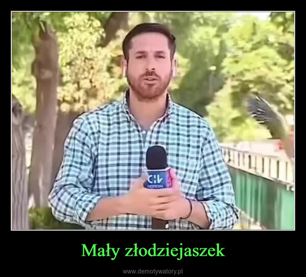 Mały złodziejaszek –  LOYDAL