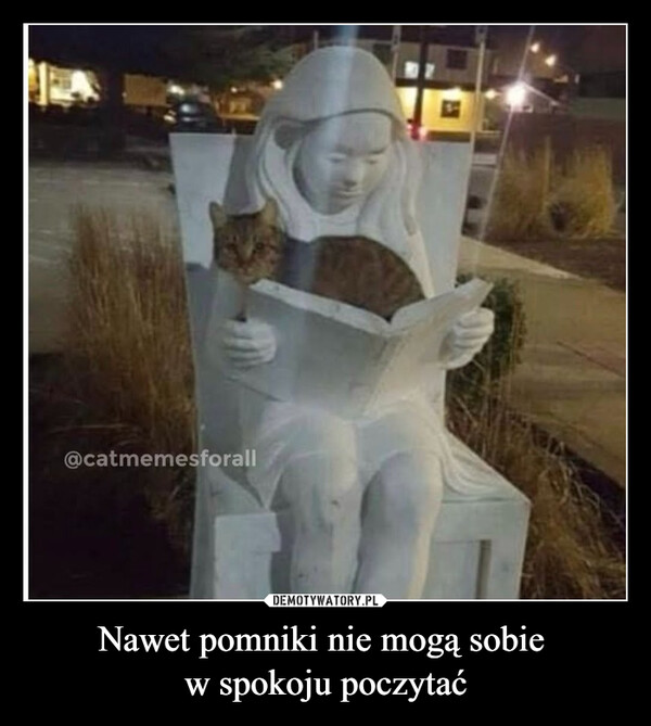 Nawet pomniki nie mogą sobie w spokoju poczytać –  @catmemesforall