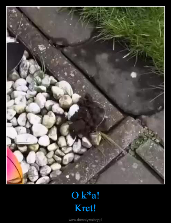 O k*a!Kret! –  