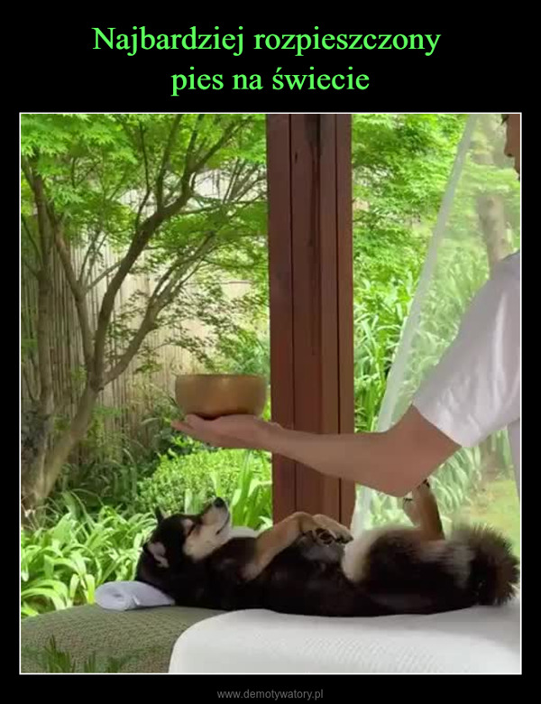  –  