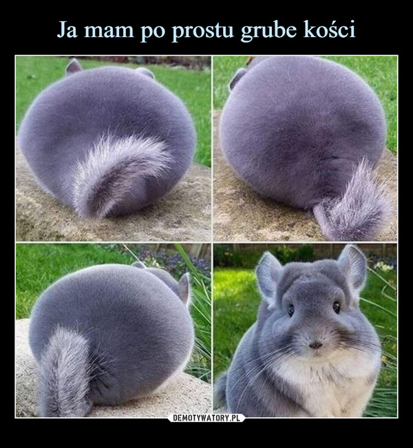  –  